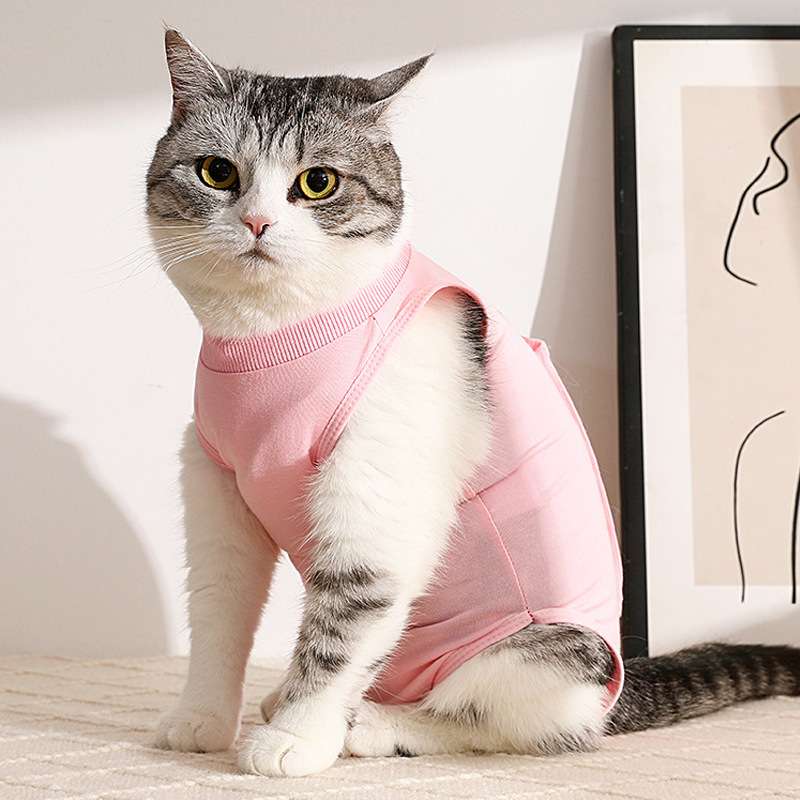 Cat Clothing Recovery Suit | Fluffy Cat Post-Op Wear