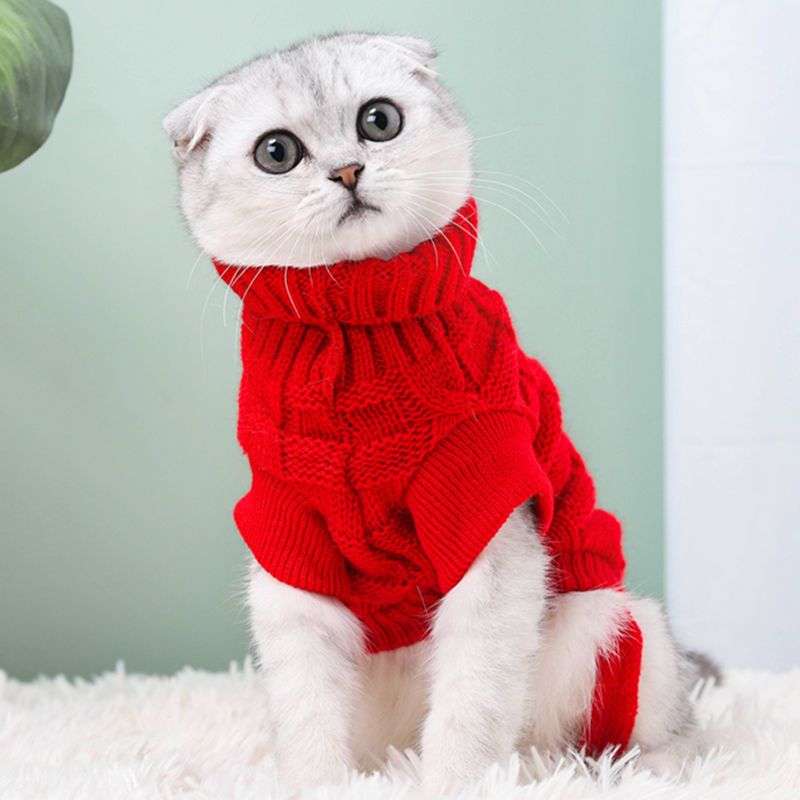 Cat Clothing Clothing | Fluffy Cat Dress Coat