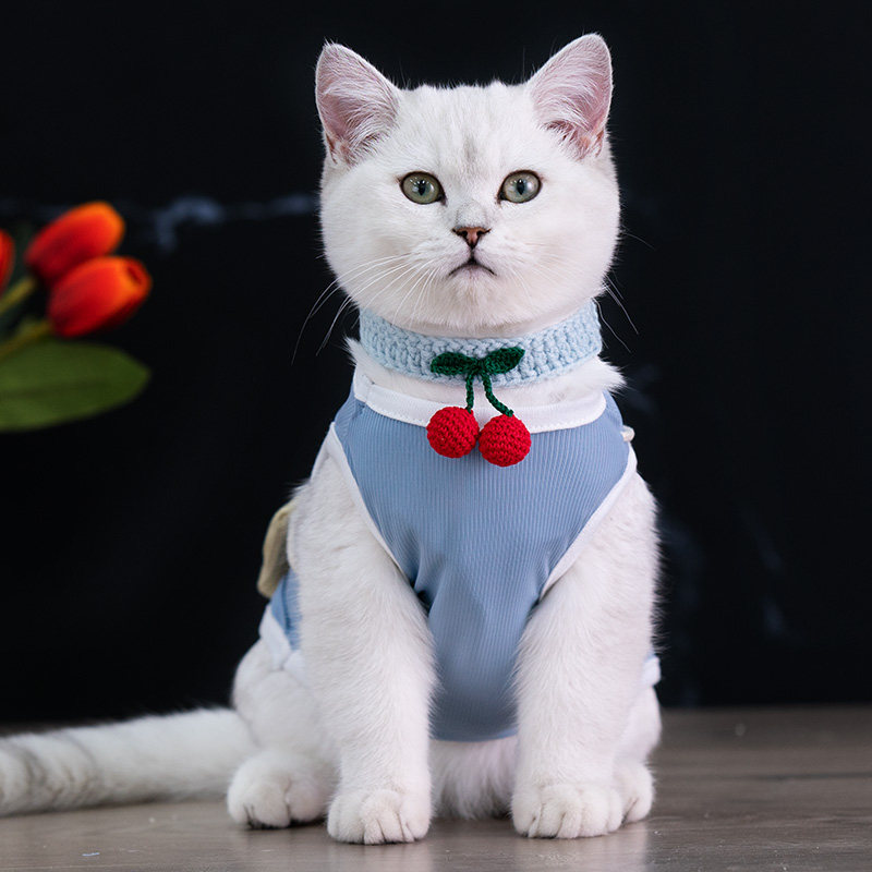 https://fulmo-img-server.com/nekohapi/cb61bd22-7d9f-4865-a582-fe80a4d352b2.jpg