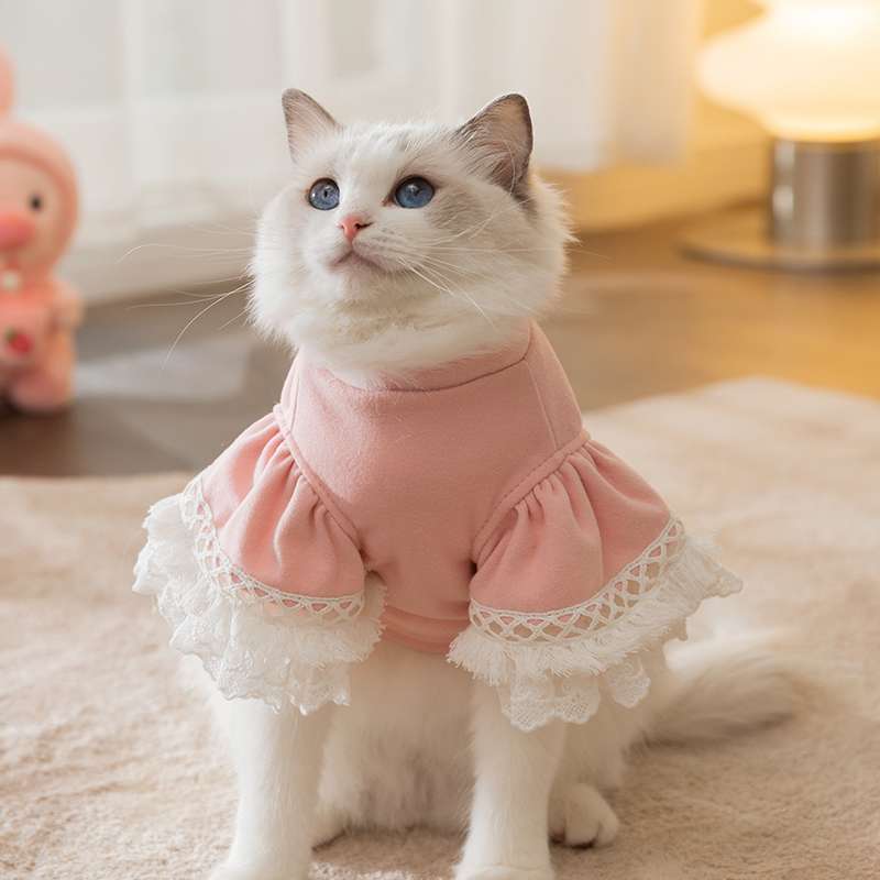 猫服  ふわもこレース猫ドレス