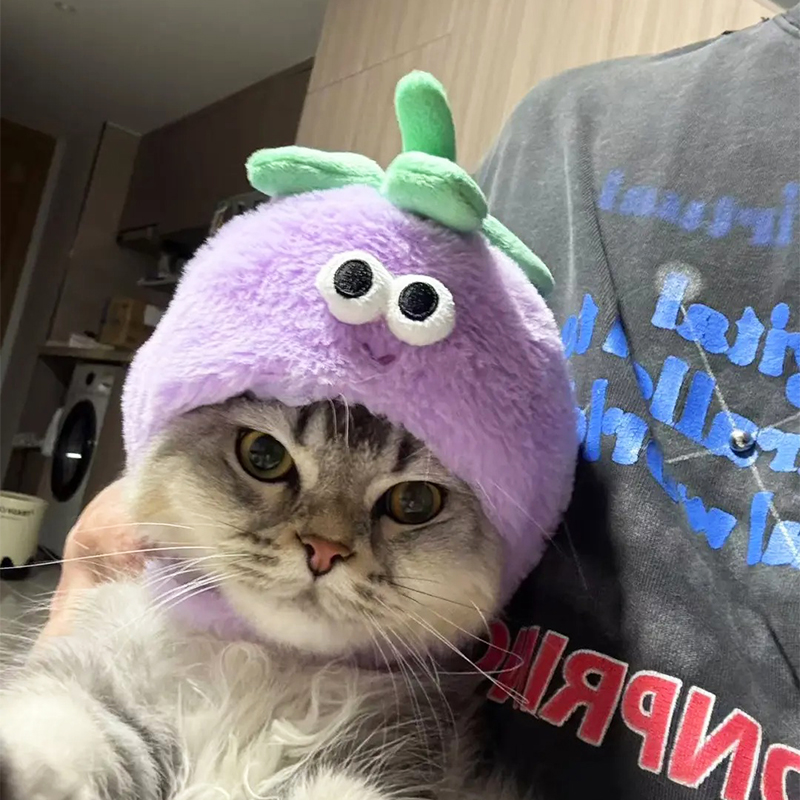 猫服 もふもふ野菜なりきり帽子