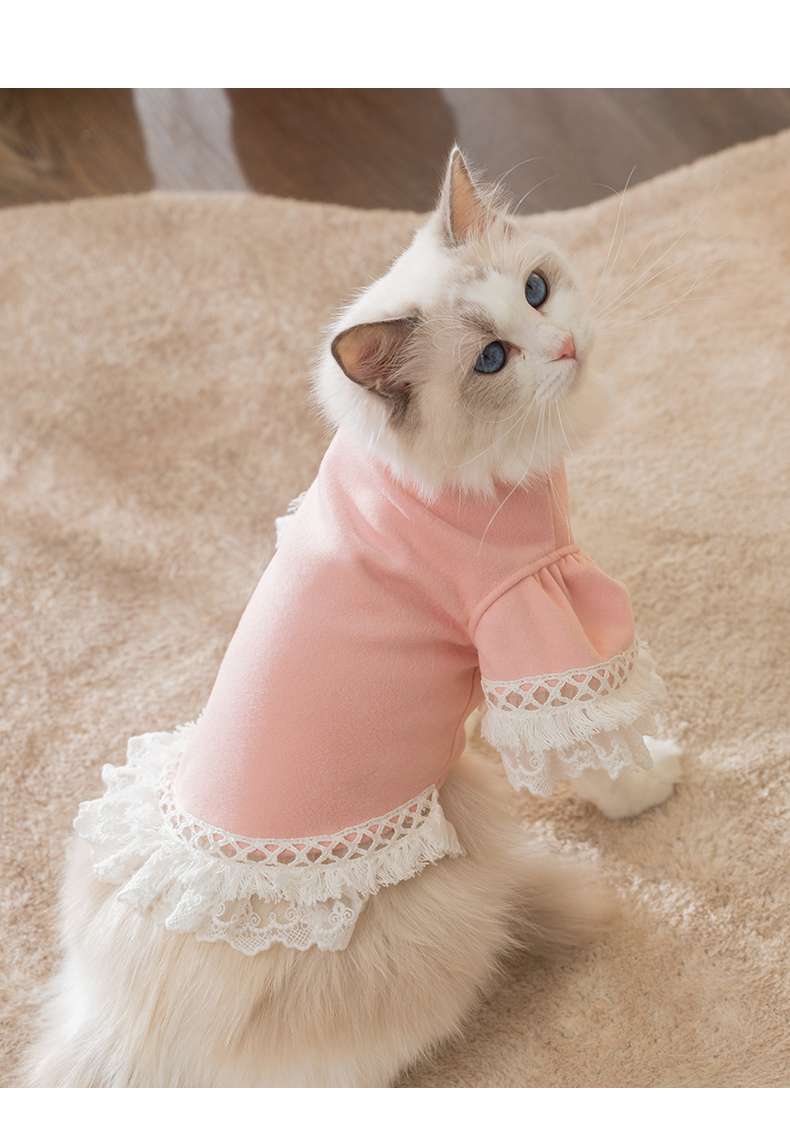 猫服  ふわもこレース猫ドレス