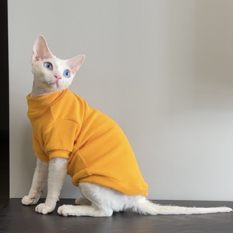 https://fulmo-img-server.com/nekohapi/cc7bbc45-27b0-4987-89b8-1dd92122c71c.jpg