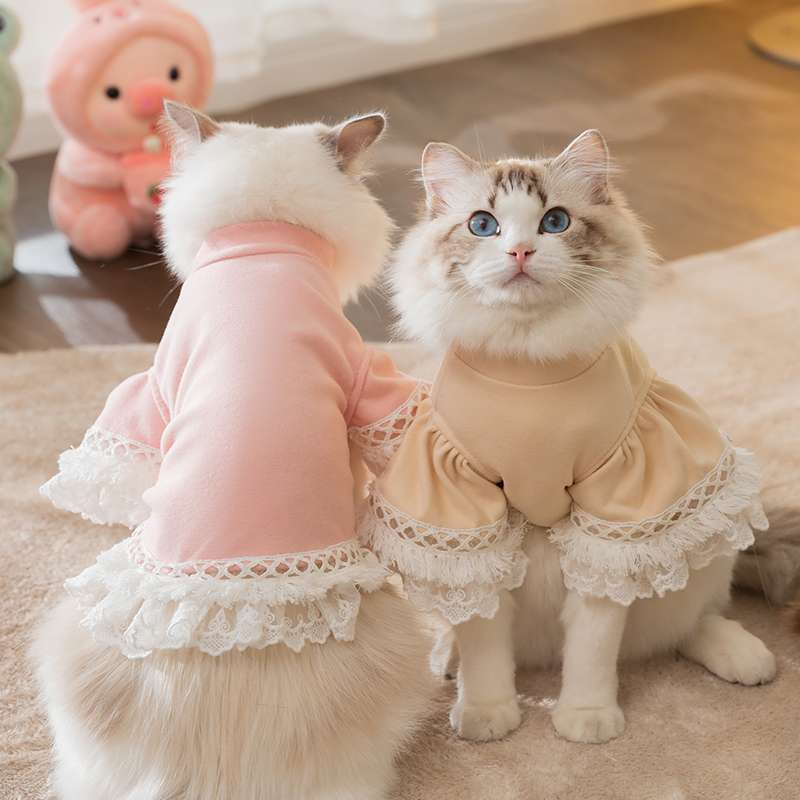 猫服  ふわもこレース猫ドレス