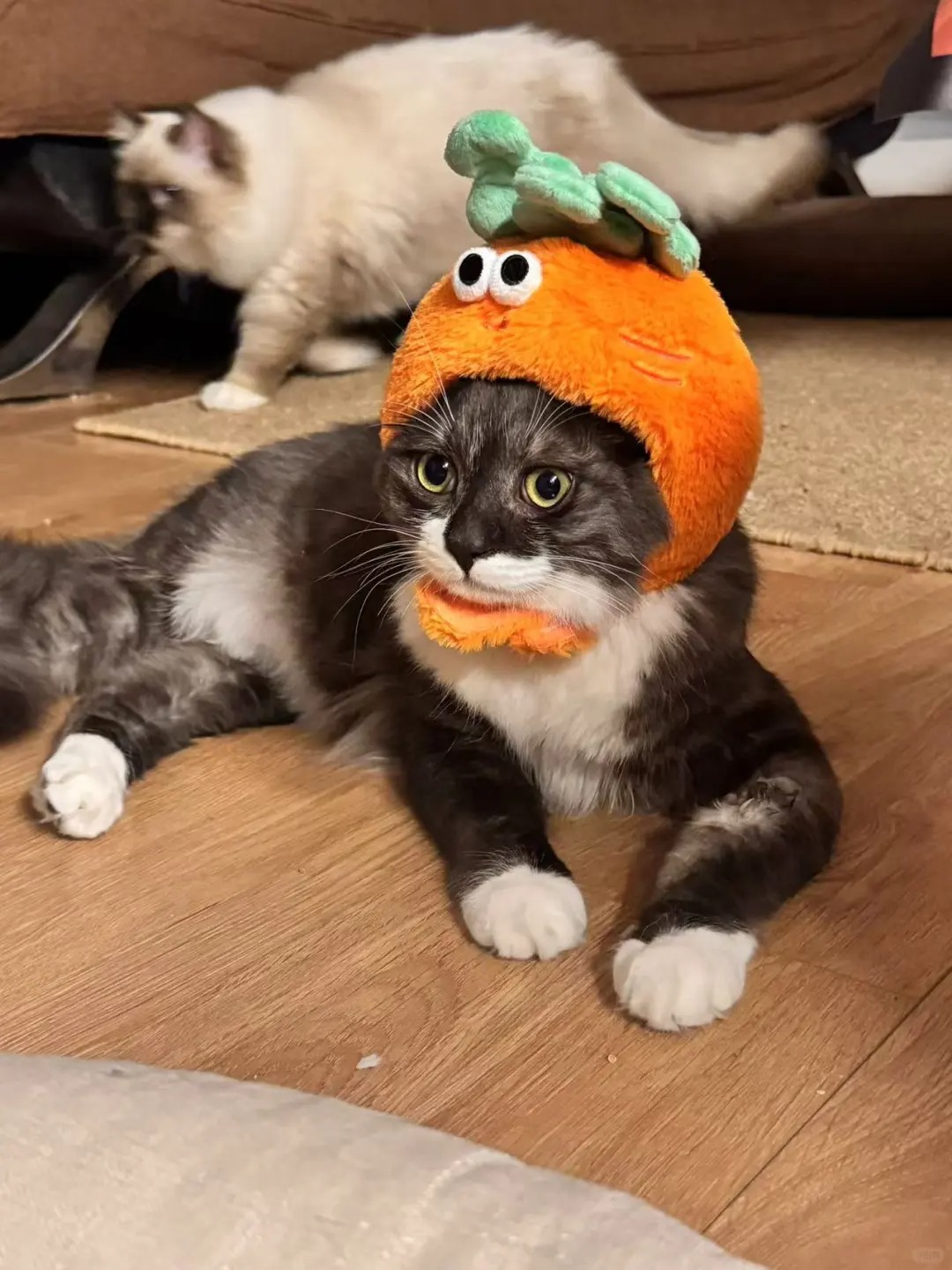 猫服 もふもふ野菜なりきり帽子