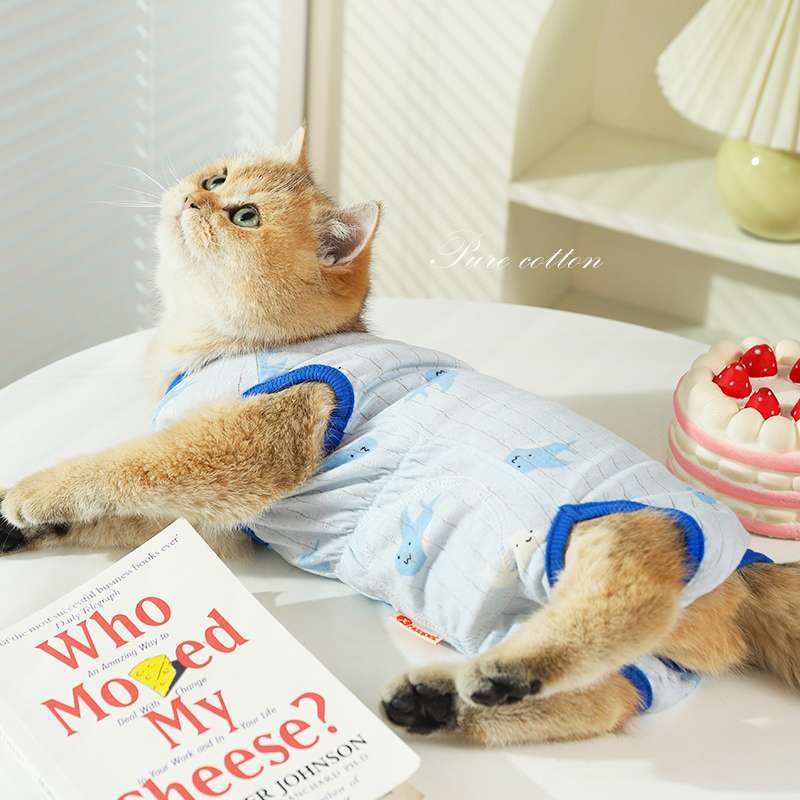 Cat Clothing Cosplay | Fluffy Lady Kitty Dress