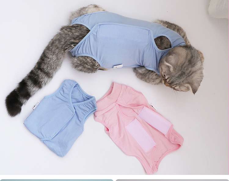 Cat Clothing Catcarrier | Cat Hold Hoodie Fishbone