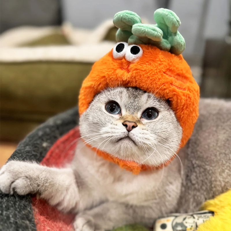 猫服 もふもふ野菜なりきり帽子