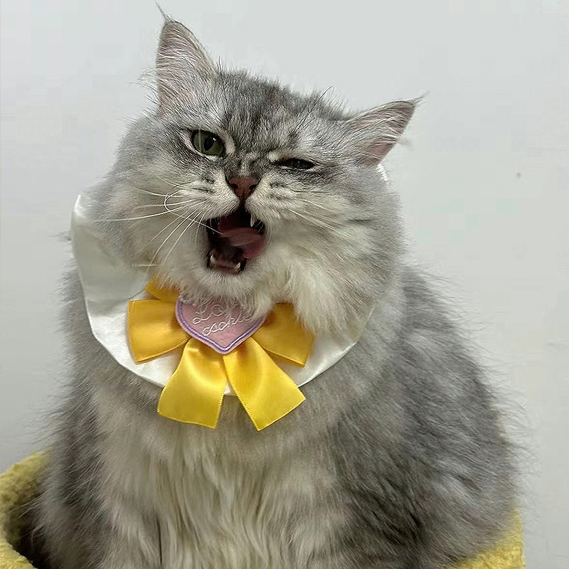 猫服 愛らしいハート飾り付き襟巻きリボン首輪