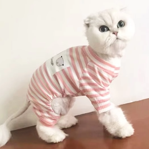 猫服  もこもこあったか猫ちゃん用フレンドシップつなぎ