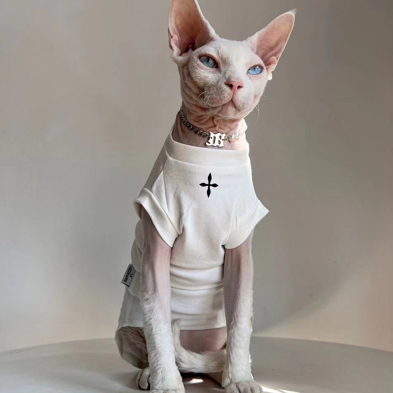 https://fulmo-img-server.com/nekohapi/d231a9ef-c255-4154-b10a-dd9a75552807.jpg