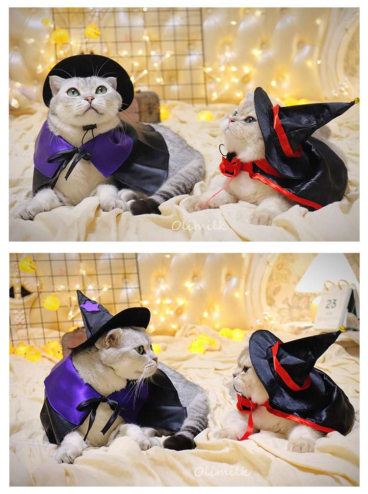 猫服 コスプレ | ハロウィン魔法使い猫コスチュームセット