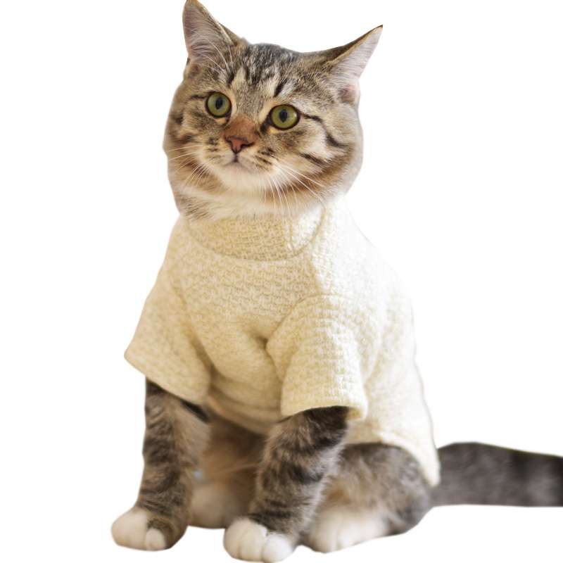 Cat Clothing Cosplay | Bee Costume Cat Onesie