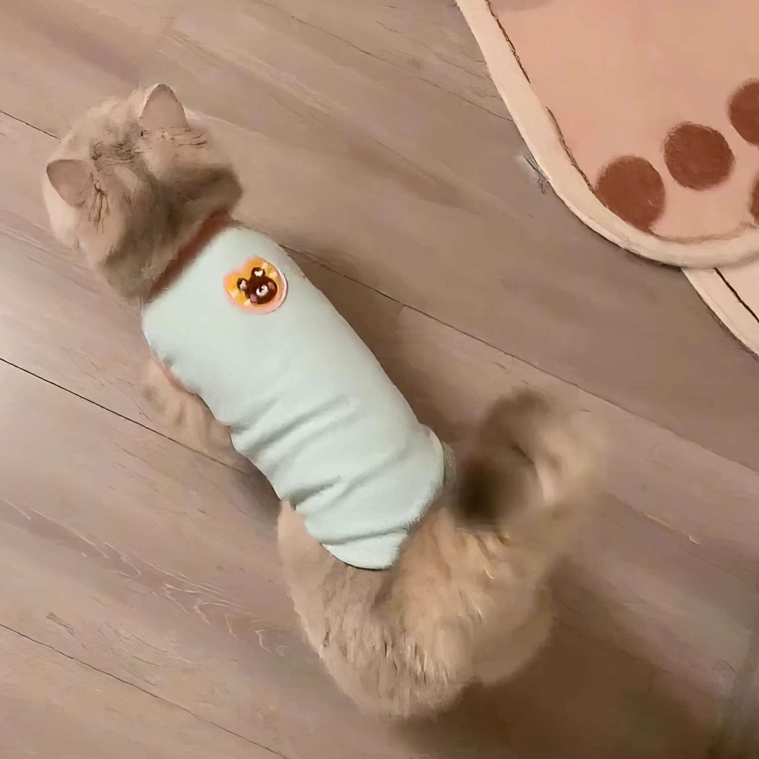 https://fulmo-img-server.com/nekohapi/d515590da43942509ab861a5f46720a7.jepg