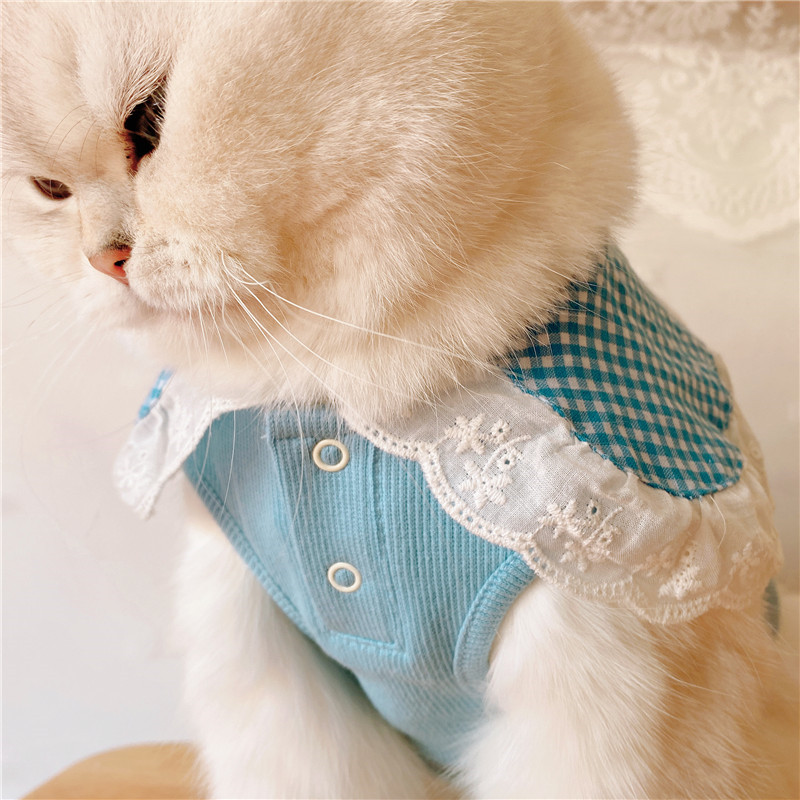 愛猫用襟付きレース装飾胸当て付きニットベスト