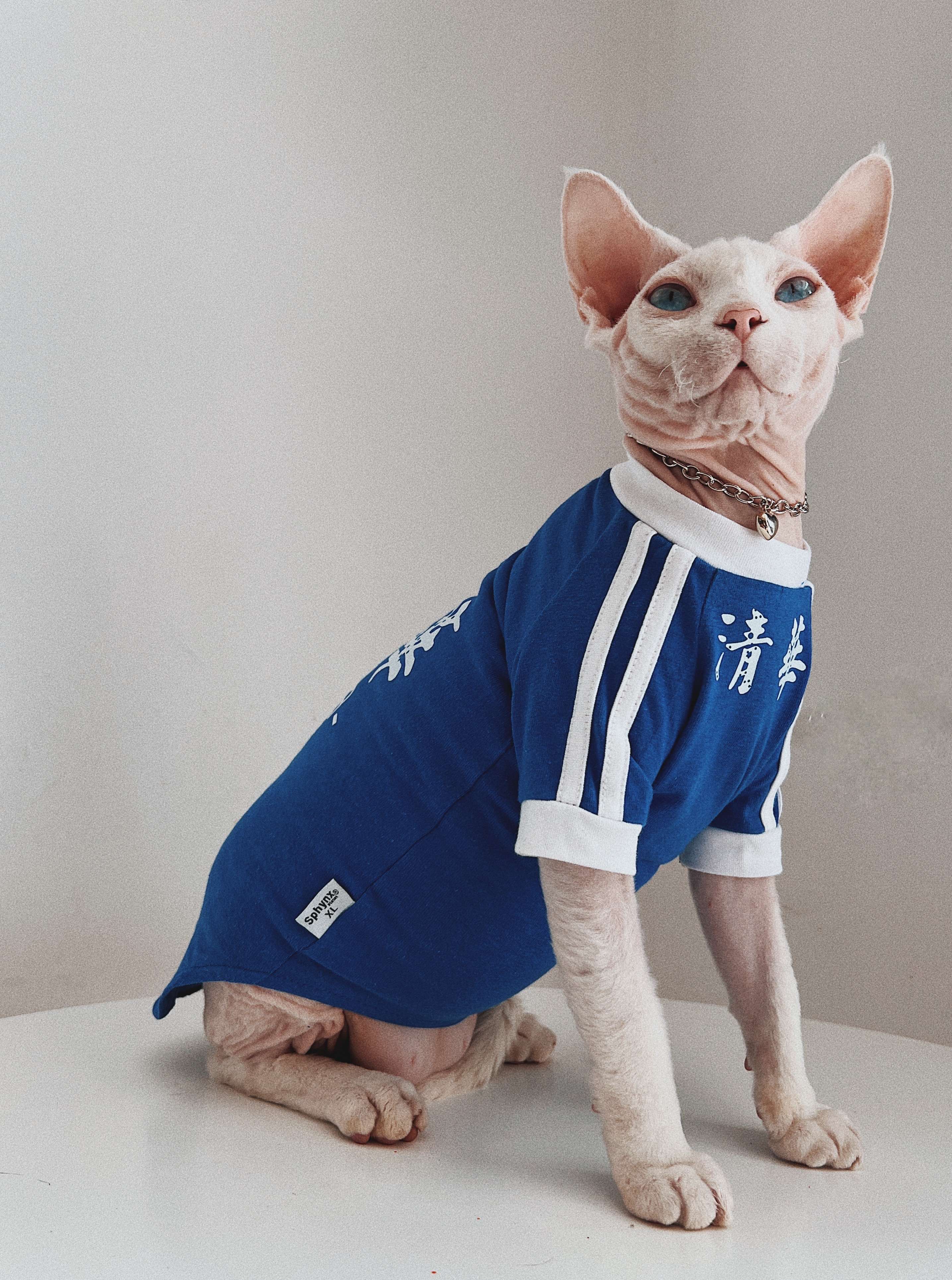 猫服  スフィンクス用学ラン風ペット服