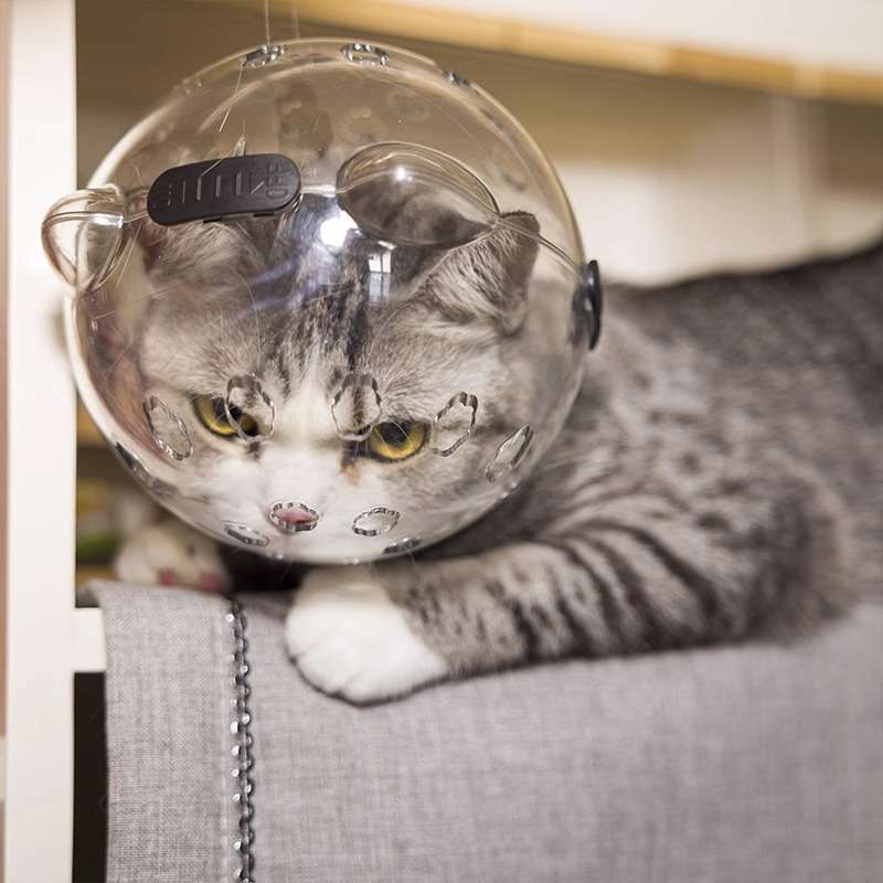 猫 エリザベスカラー | 宇宙飛行士風猫用エリザベスカラー