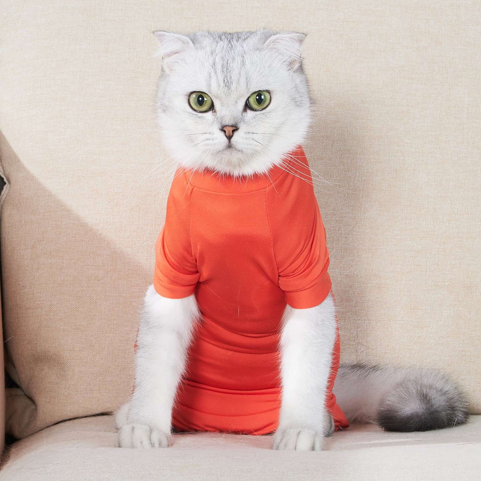 Cat Clothing Recovery Suit | Kitty Comfort Post-Op Wear