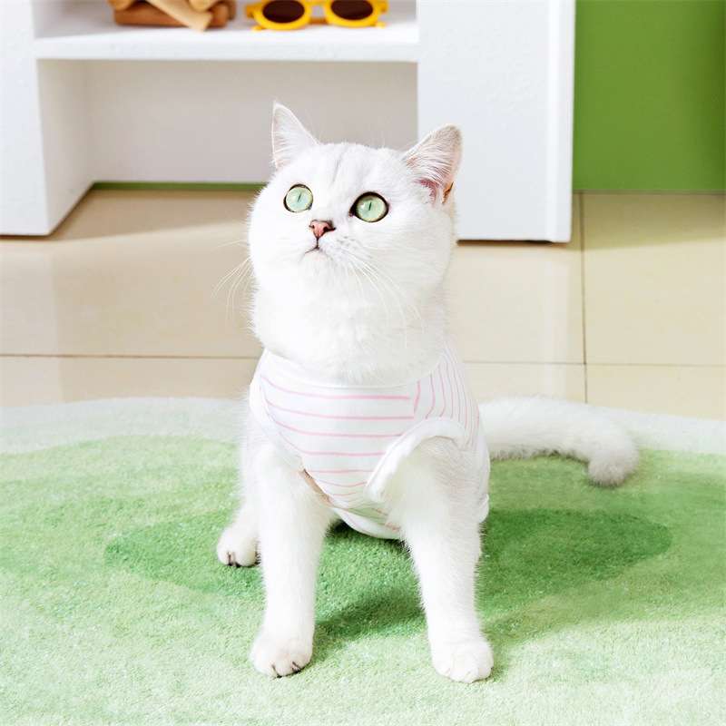 猫服 洋服 | ふわもこ猫ちゃん用ボーダーTシャツ