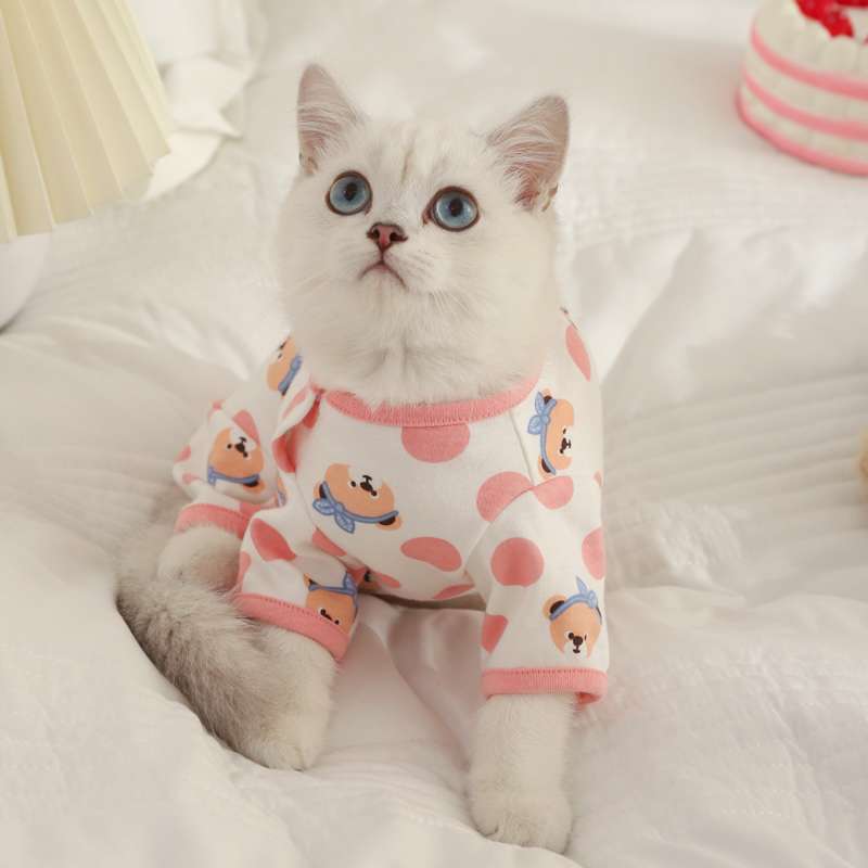 Cat Clothing Winter Jacket | Fluffy Hoodie-Style Cat Onesie