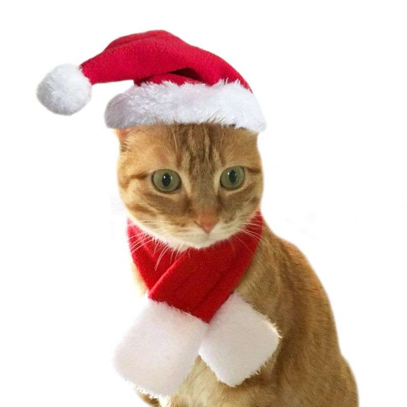 猫服 コスプレ | ねこ用クリスマス変身セット