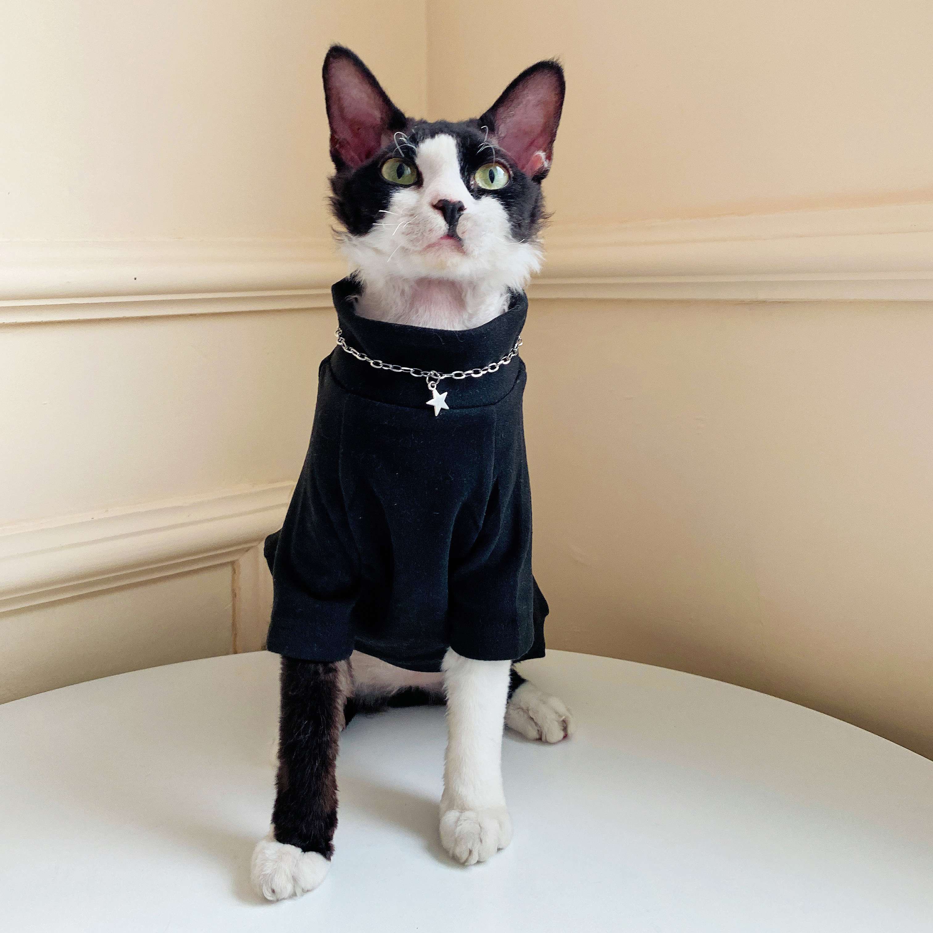 Cat Clothing Clothing | Cat Plaid Cape