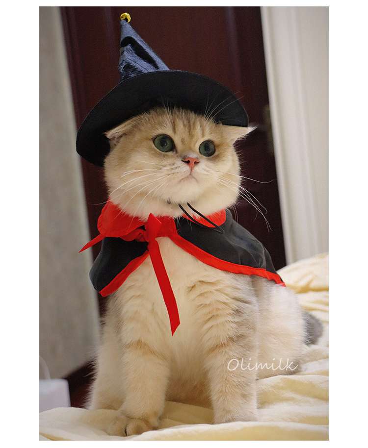 猫服  ハロウィン魔法使い猫コスチュームセット