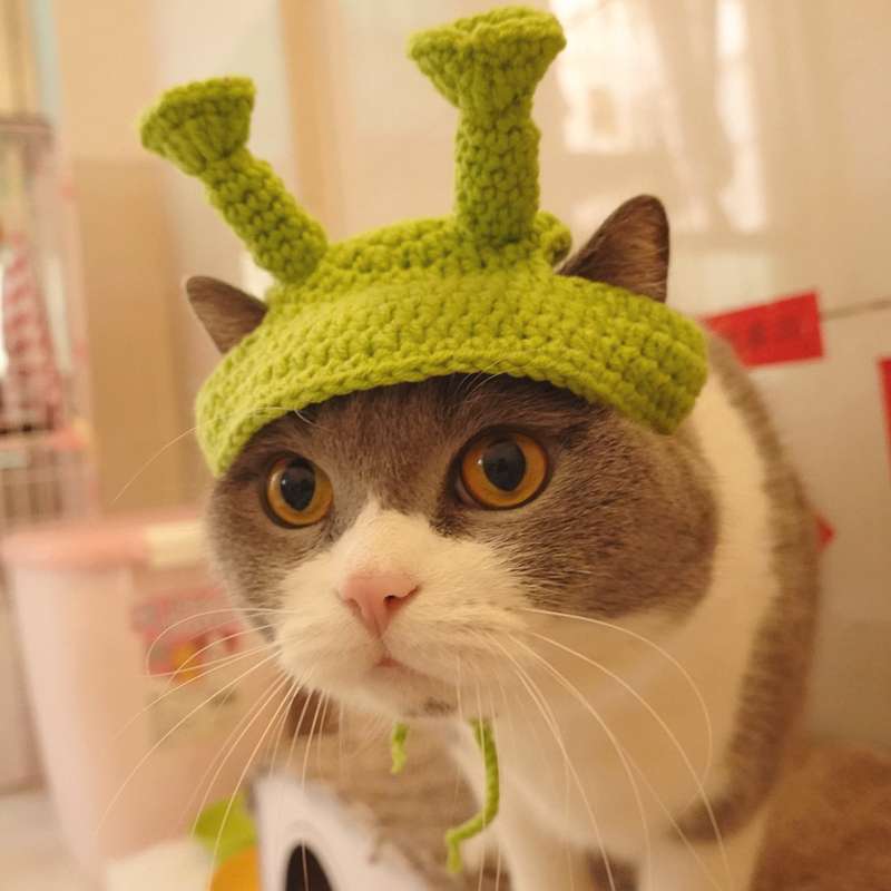 Cat Clothing Hats | Hamburger Cat Hat