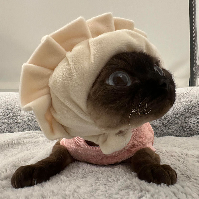 猫服 もちもち飯茶碗帽子