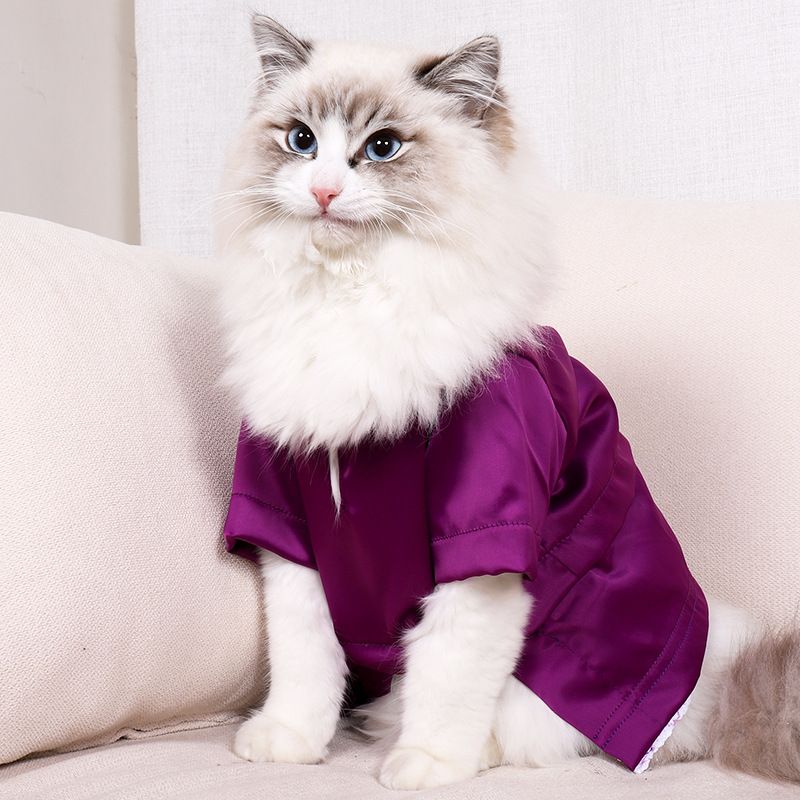 https://fulmo-img-server.com/nekohapi/e09b0528-9b75-4589-9013-b7fdd5b9f681.jpg