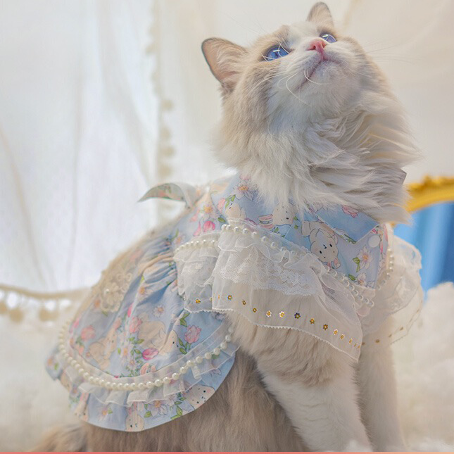 猫服  ふわふわレースの猫用プリンセスドレス