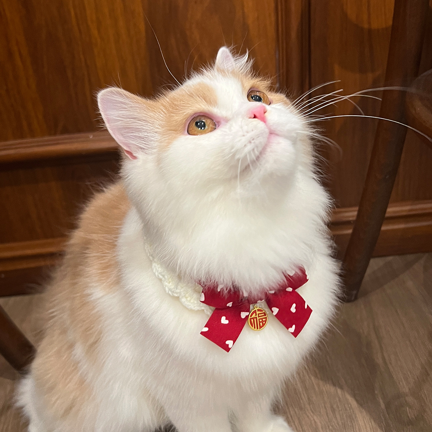 猫服 ハート柄リボン付き和風チャーム首輪