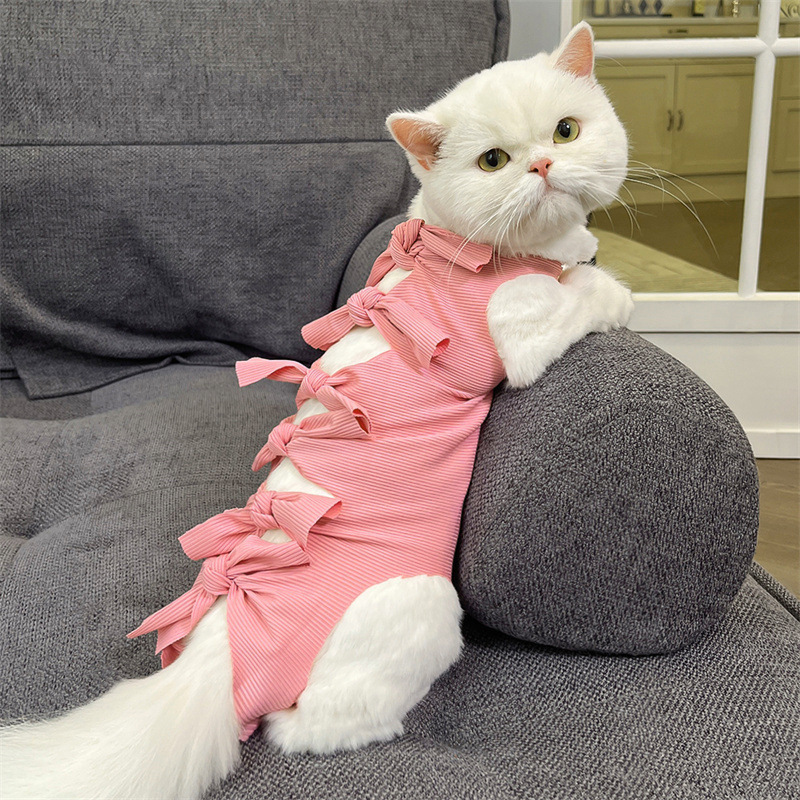 https://fulmo-img-server.com/nekohapi/e3c89a93-5859-4ef0-adb2-1b3159edf85a.jpg
