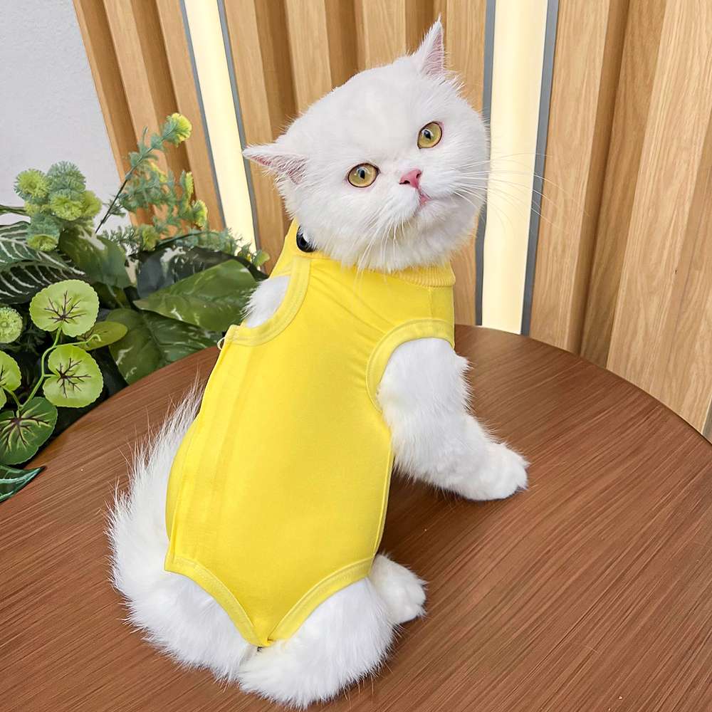 Cat Clothing Recovery Suit | Ribbon Design Post-Op Wear for Cats