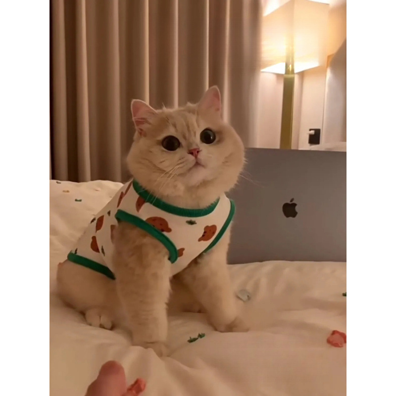 猫服 野菜柄のかわいいノースリーブシャツ 洋服