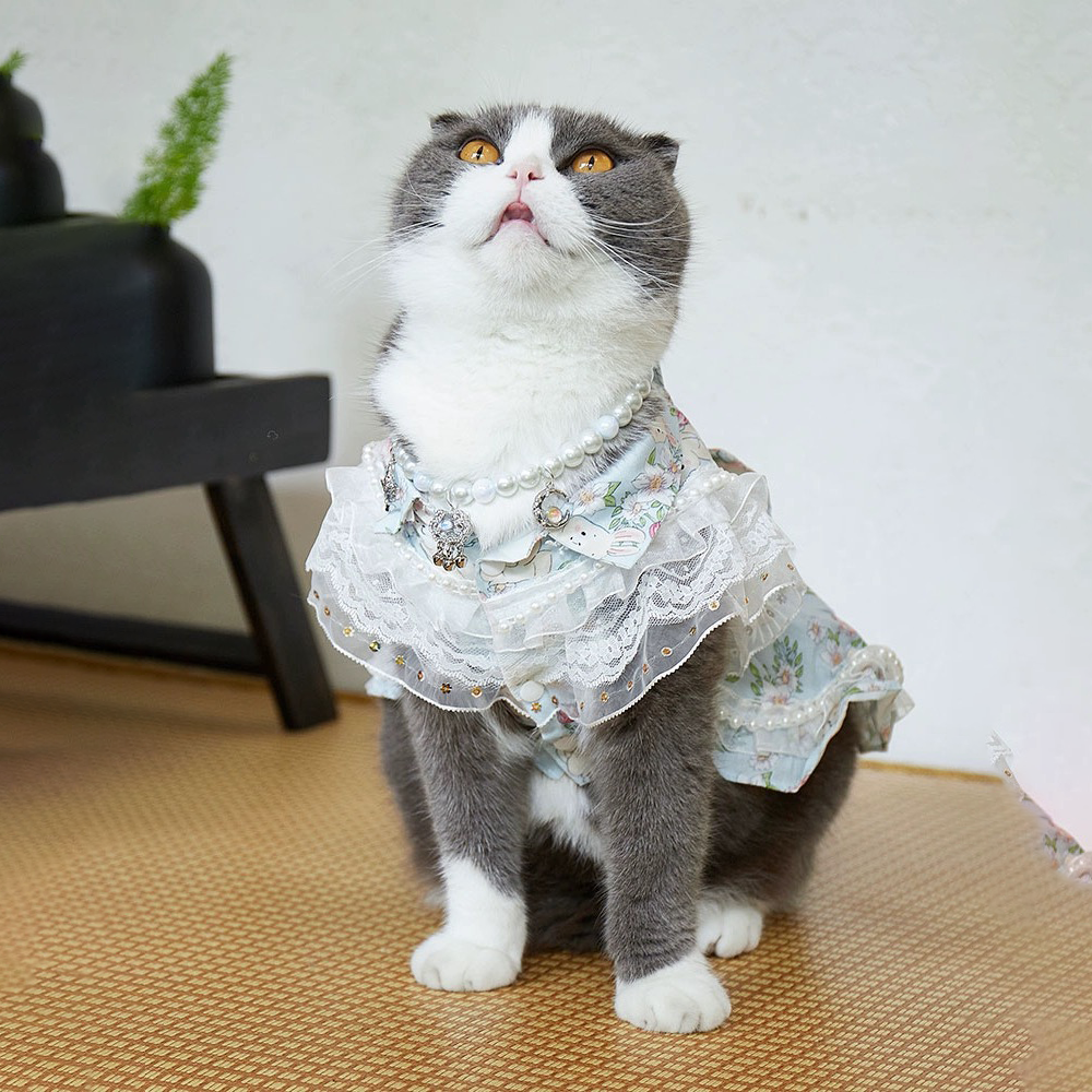 Cat Clothing Clothing | Lace Flower Pattern Dress for Cats