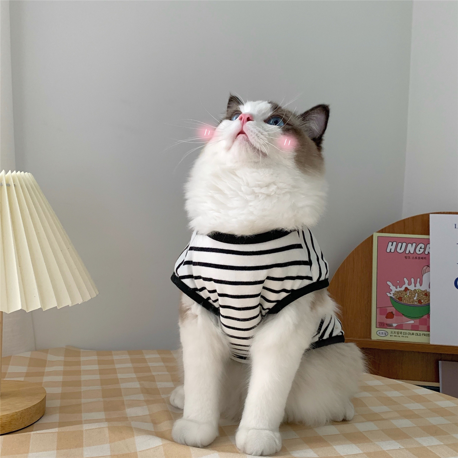 https://fulmo-img-server.com/nekohapi/e68579ce-06d1-4d36-94c7-8f820d1a9717.jpg