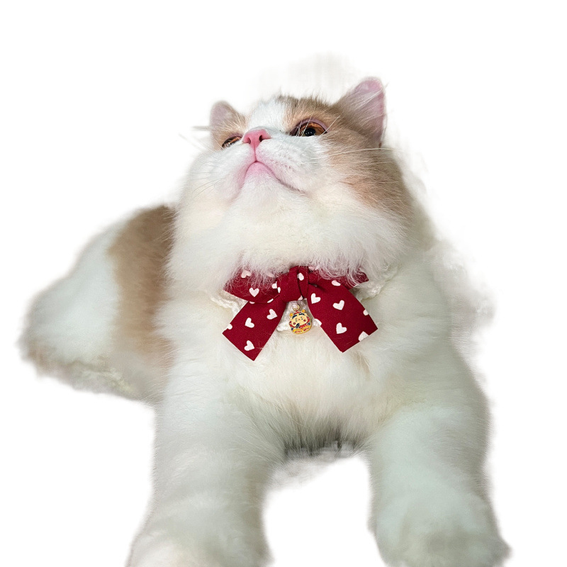 猫服 縁起福文字チャーム付き和風リボン首輪