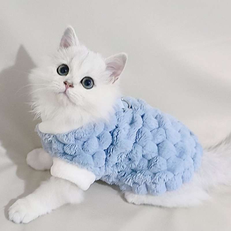 https://fulmo-img-server.com/nekohapi/e842054b857b47f2b925b972013ed992.jepg