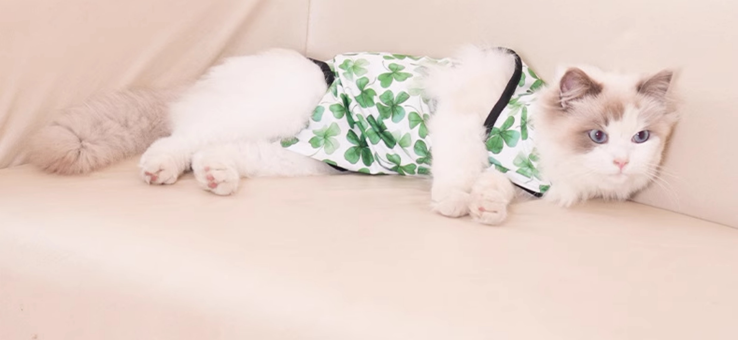 猫服 やさしい癒し術後ウェア