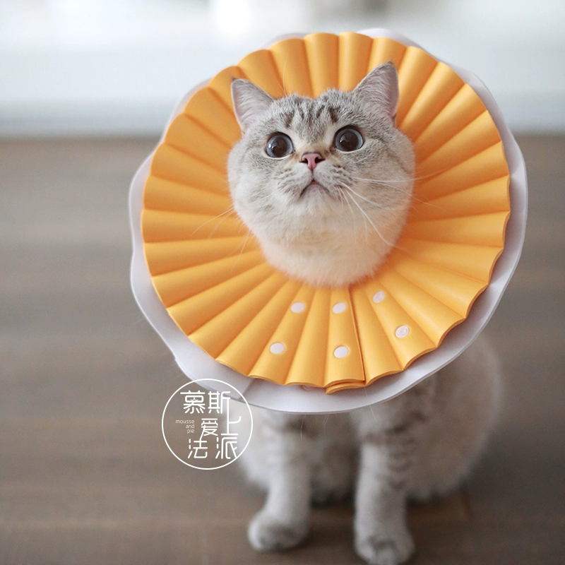 猫服 猫 エリザベスカラー | ふわふわフリルの猫用エリザベスカラー