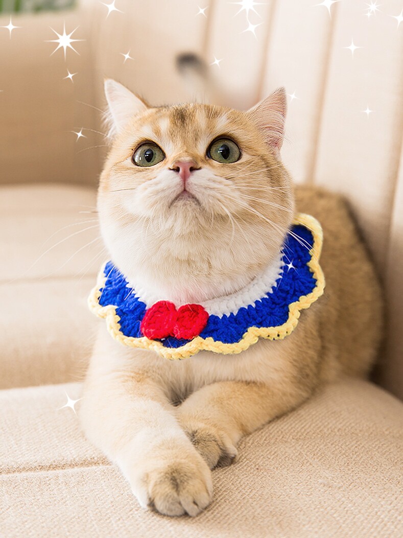 猫服 白雪姫風フリル襟付き猫用首輪