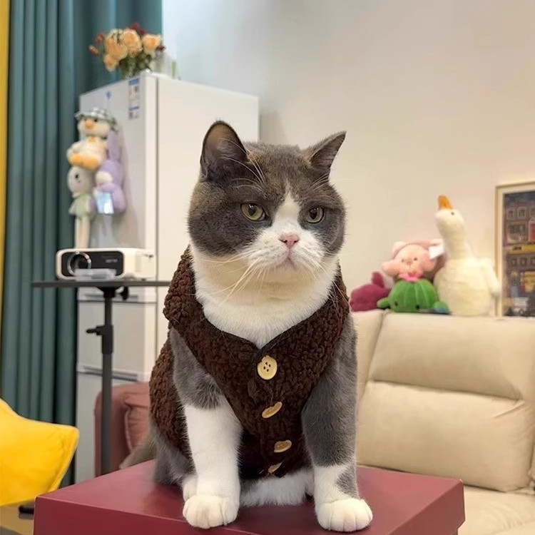 猫服 もこもこボア生地のボタン付き猫用ベスト