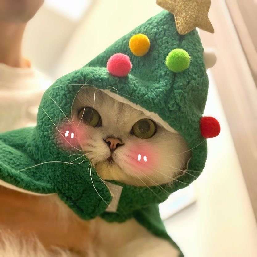 猫服 コスプレ | クリスマスツリー風キャットコスチューム