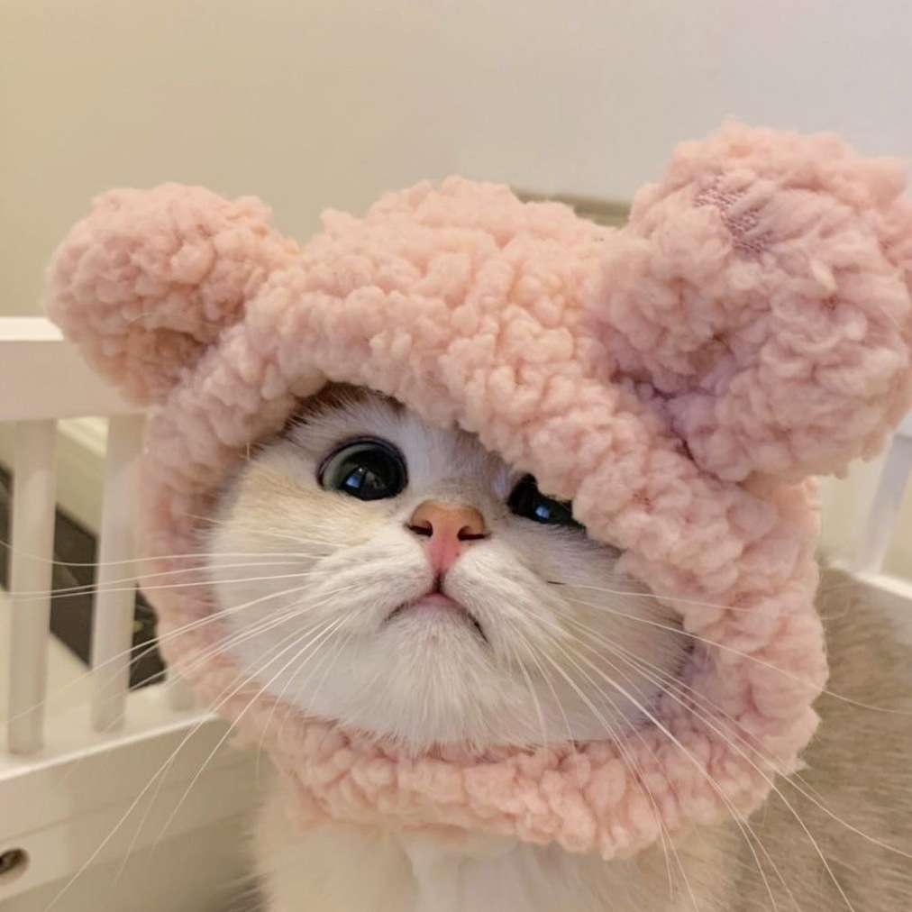 猫服 帽子 | モコモコ動物なりきり帽子