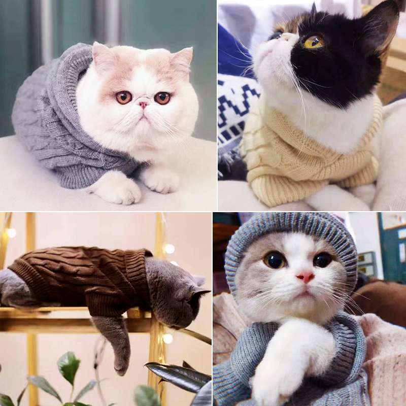 Cat Clothing Sphinx | Warm Border Wear for Cats