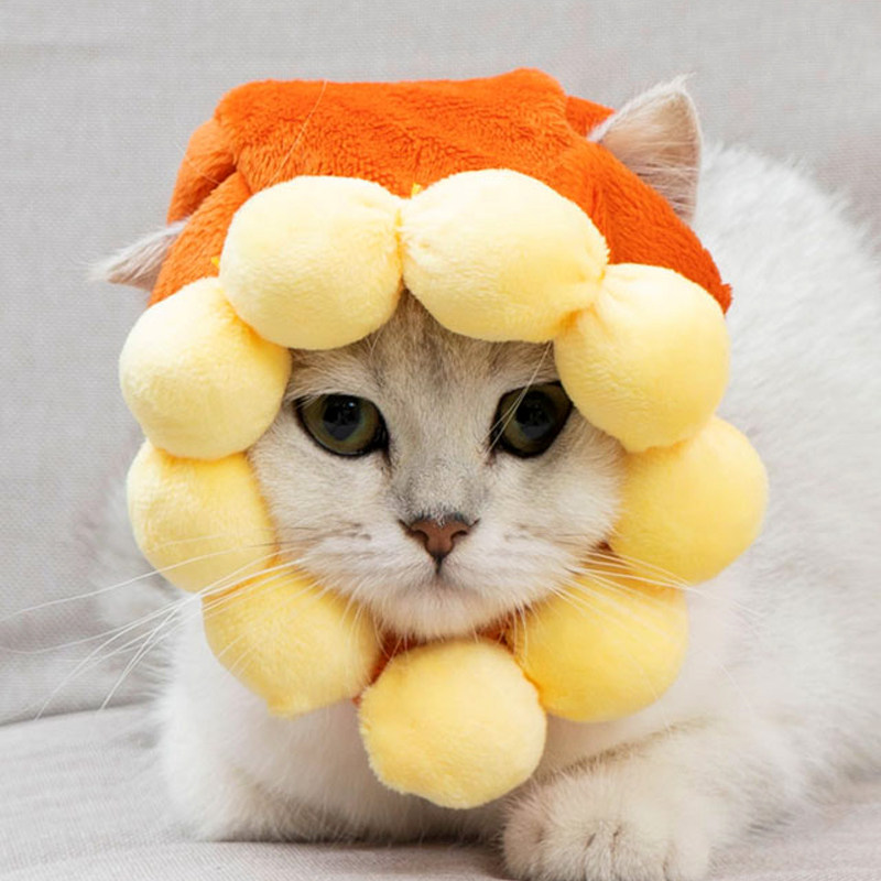 猫服 向日葵のなりきりたてがみ風帽子