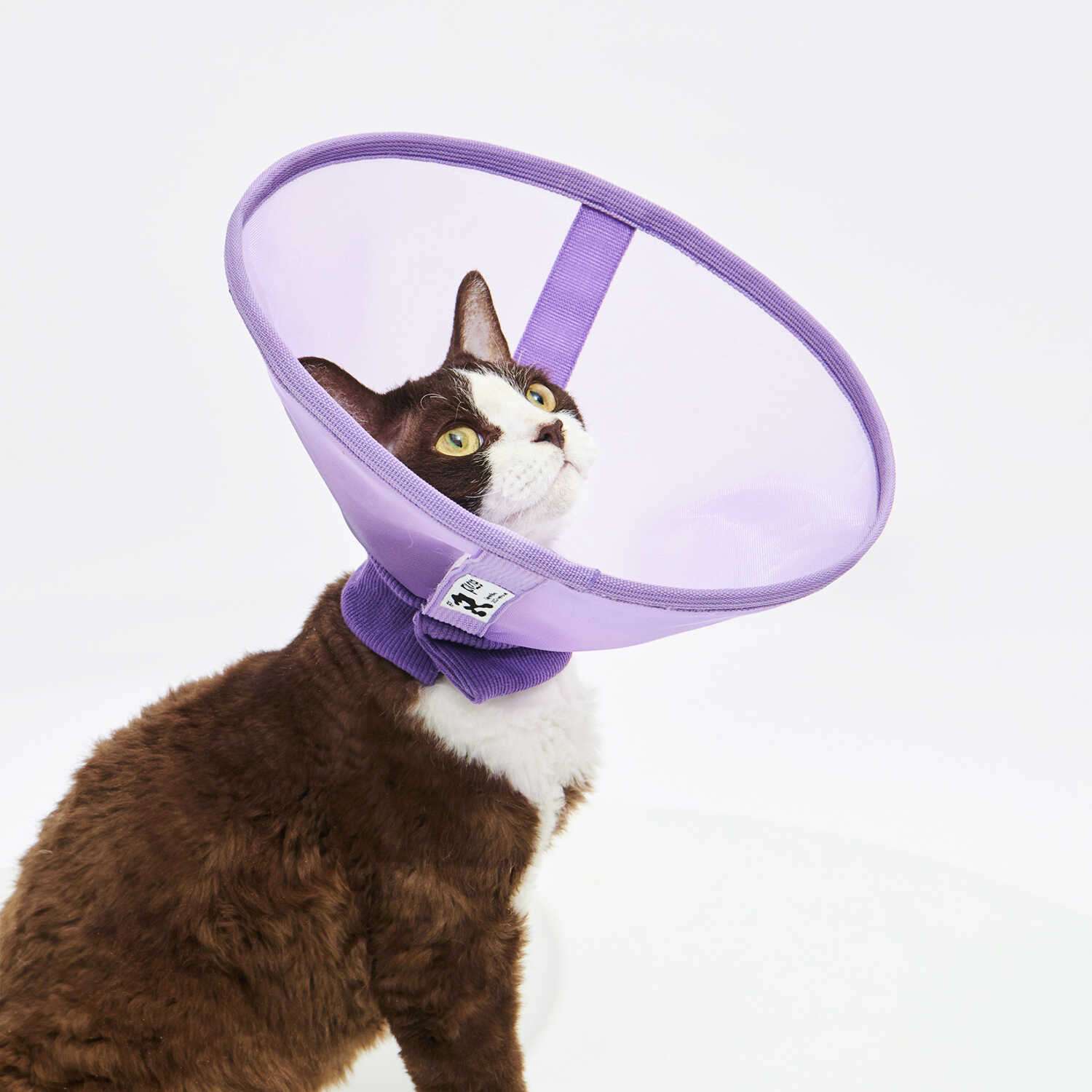 Cat Elizabethan Collar | Starry Sky Cat Collar – Relaxing Type