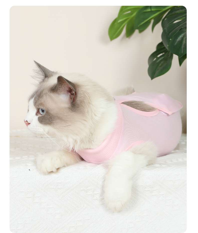 Cat Clothing Winter Jacket | Fluffy Cat Winter Hoodie