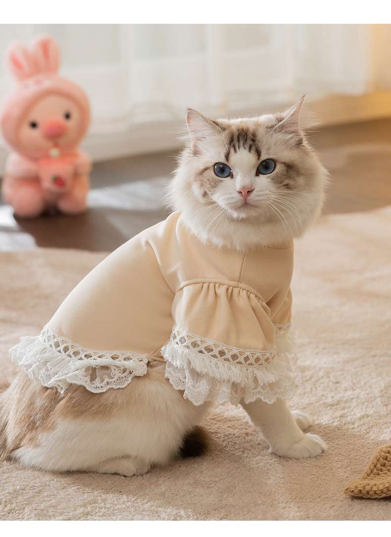 猫服  ふわもこレース猫ドレス